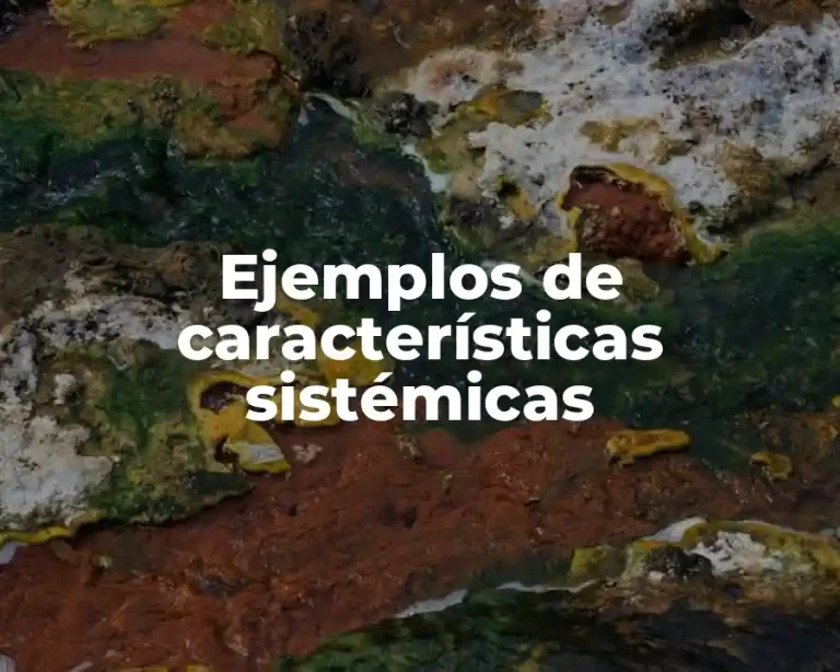 Ejemplos de características sistémicas