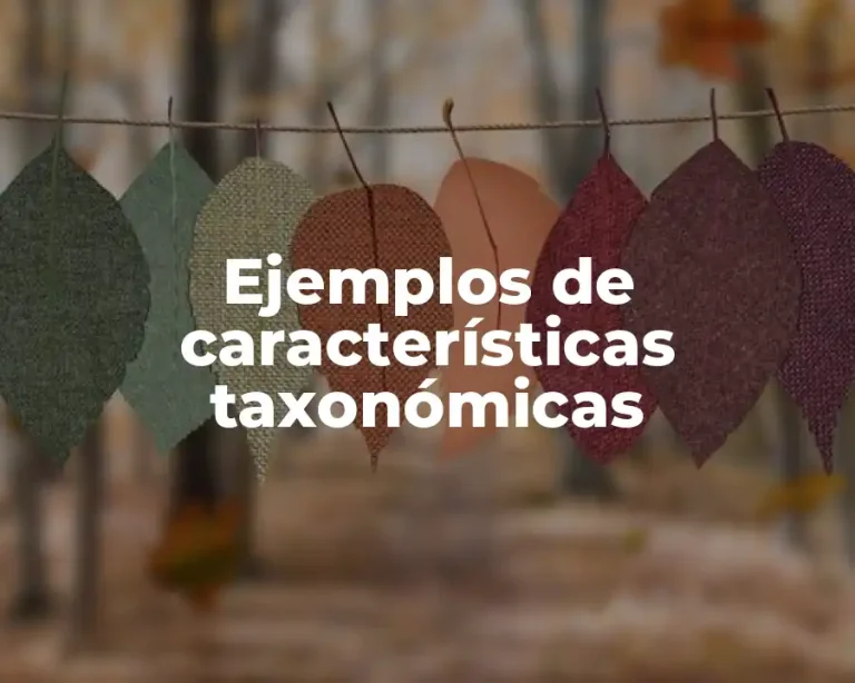 Ejemplos de características taxonómicas
