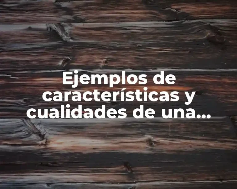 Ejemplos de características y cualidades de una persona