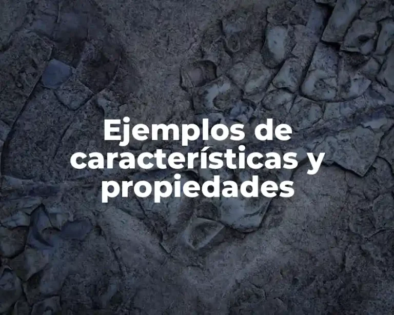 Ejemplos de características y propiedades