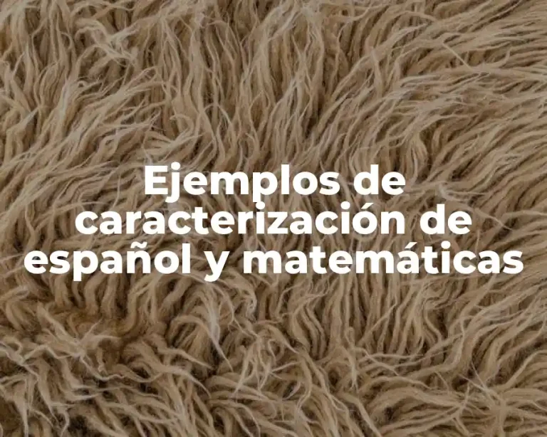 Ejemplos de caracterización de español y matemáticas