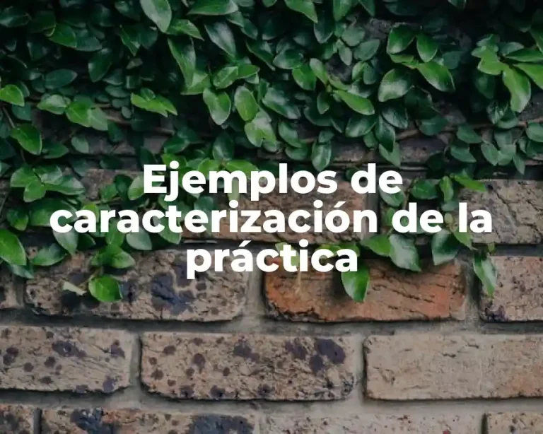 Ejemplos de caracterización de la práctica