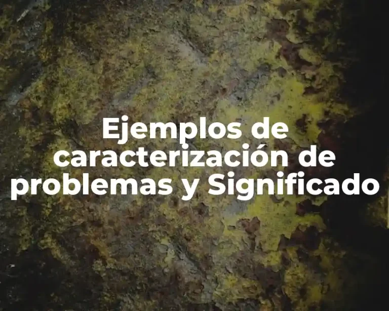 Ejemplos de caracterización de problemas y Significado