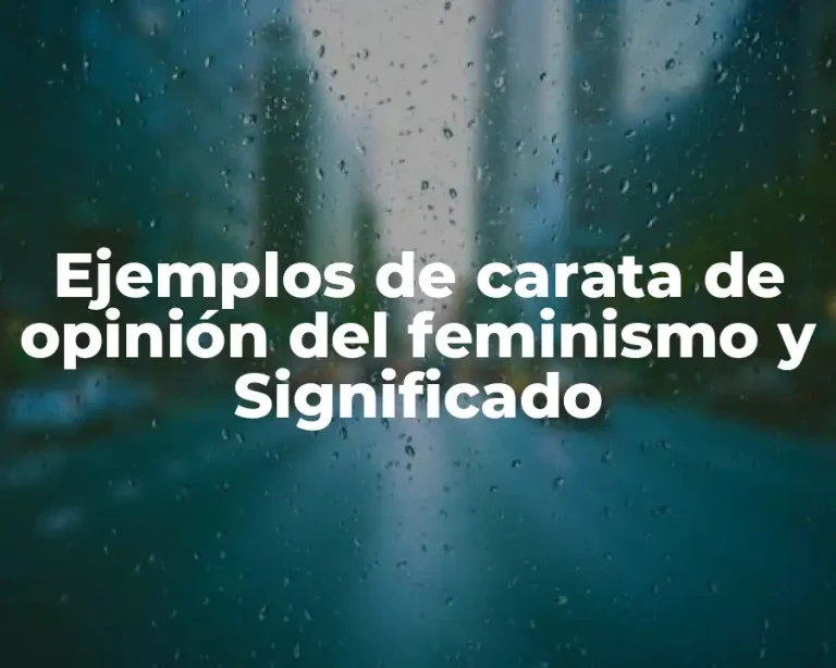 Ejemplos de carata de opinión del feminismo y Significado