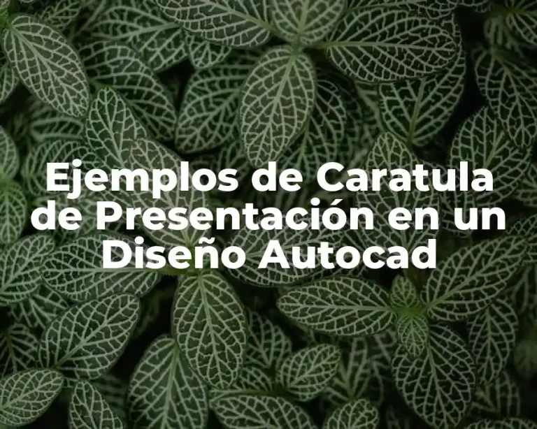 Ejemplos de Caratula de Presentación en un Diseño Autocad