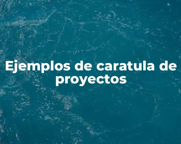 Ejemplos de caratula de proyectos