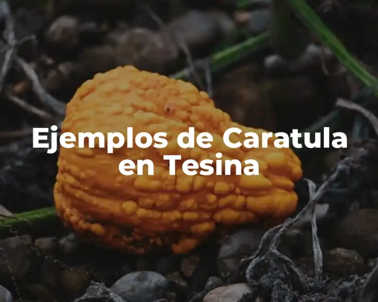Ejemplos de Caratula en Tesina