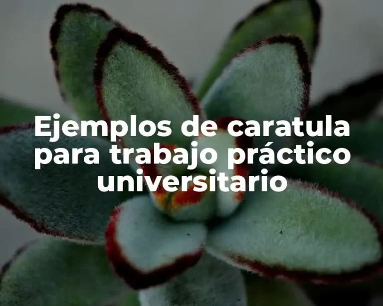 Ejemplos de caratula para trabajo práctico universitario