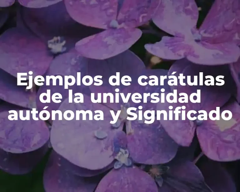 Ejemplos de carátulas de la universidad autónoma y Significado