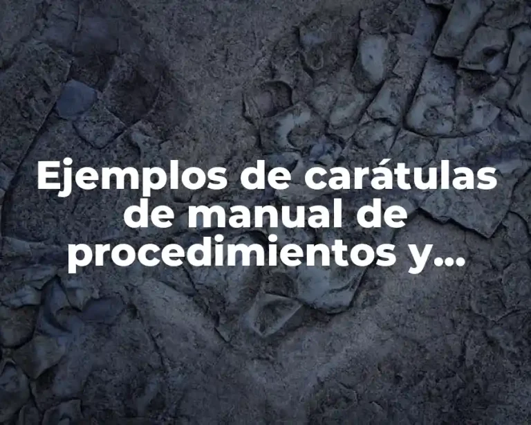Ejemplos de carátulas de manual de procedimientos y Significado