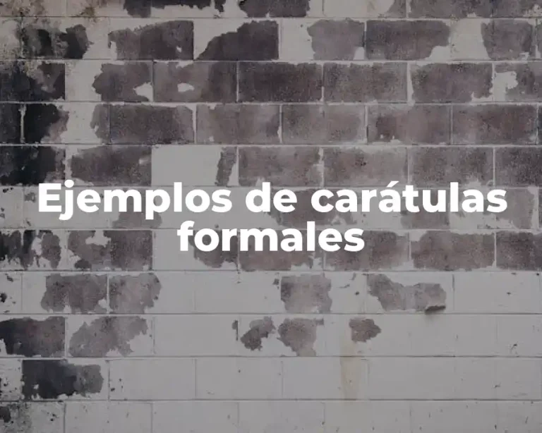 Ejemplos de carátulas formales