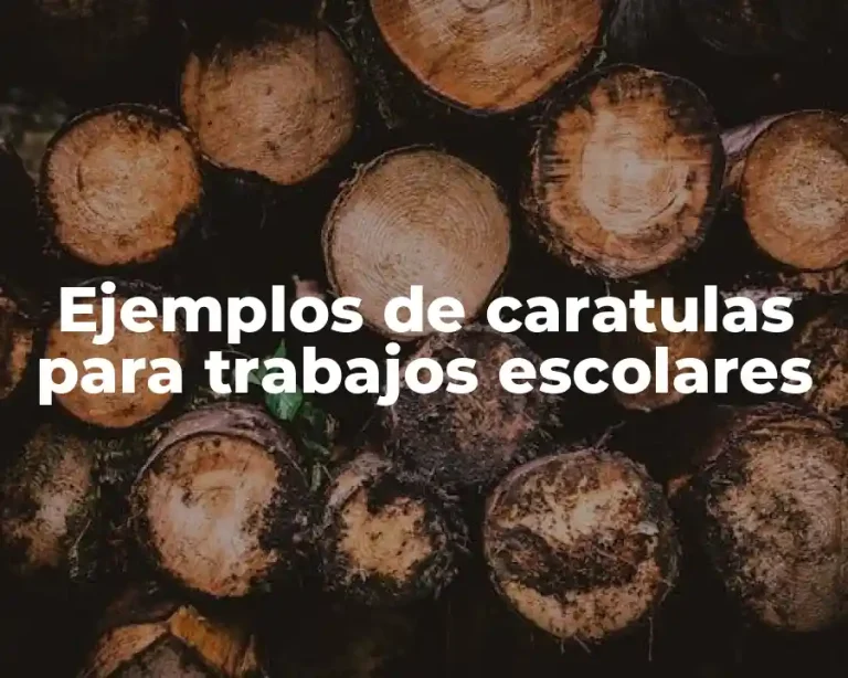 Ejemplos de caratulas para trabajos escolares