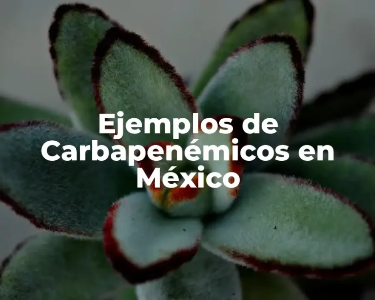 Ejemplos de Carbapenémicos en México