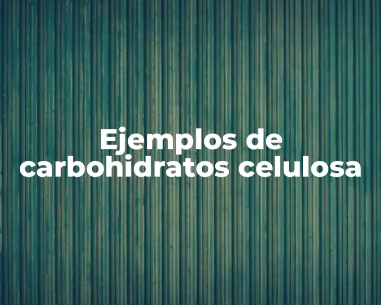 Ejemplos de carbohidratos celulosa