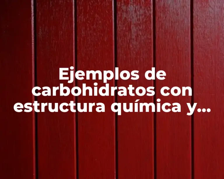 Ejemplos de carbohidratos con estructura química y Significado