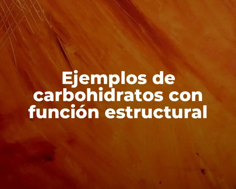 Ejemplos de carbohidratos con función estructural