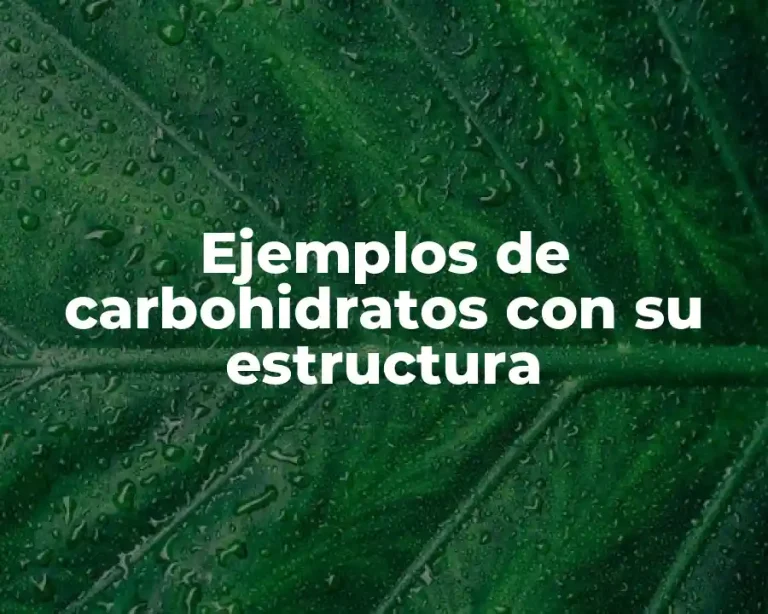 Ejemplos de carbohidratos con su estructura