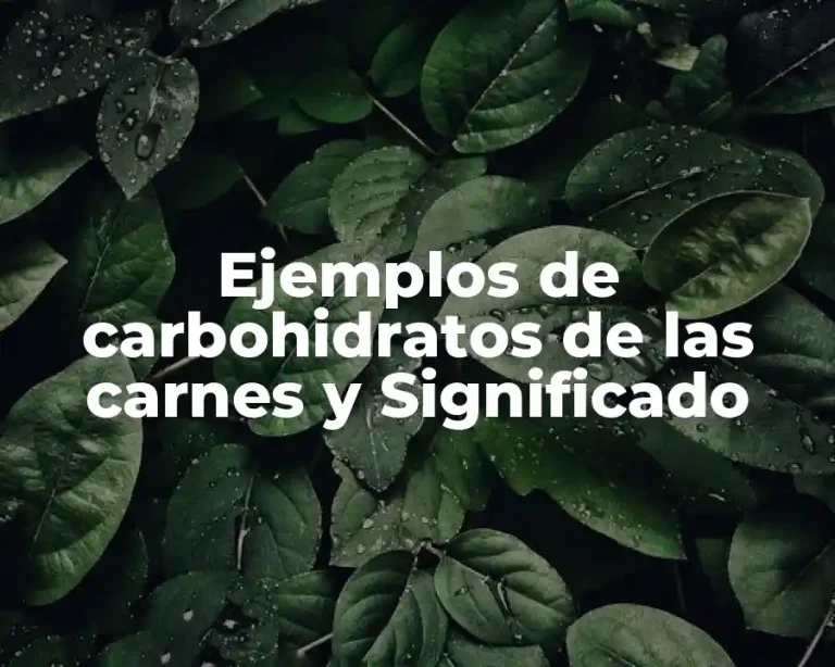 Ejemplos de carbohidratos de las carnes y Significado
