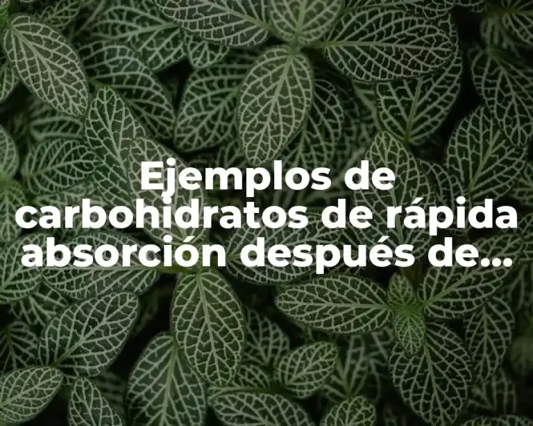 Ejemplos de carbohidratos de rápida absorción después de entrenar