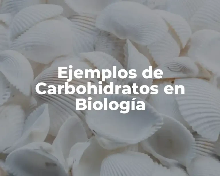 Ejemplos de Carbohidratos en Biología