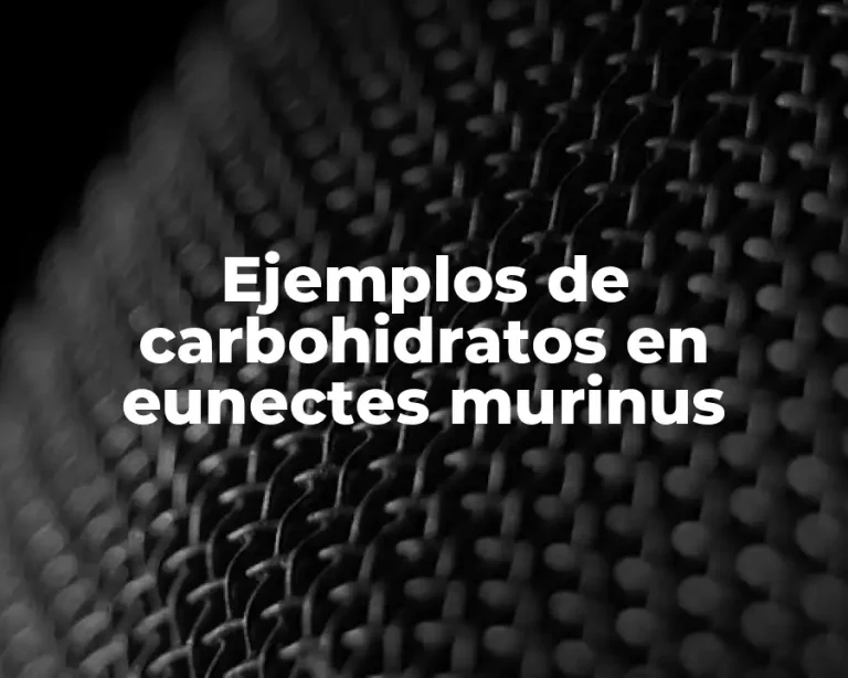 Ejemplos de carbohidratos en eunectes murinus