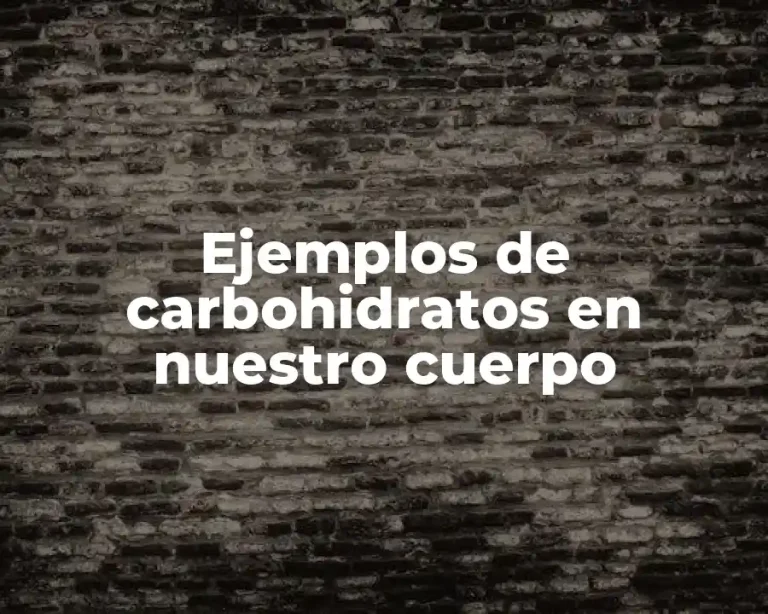 Ejemplos de carbohidratos en nuestro cuerpo
