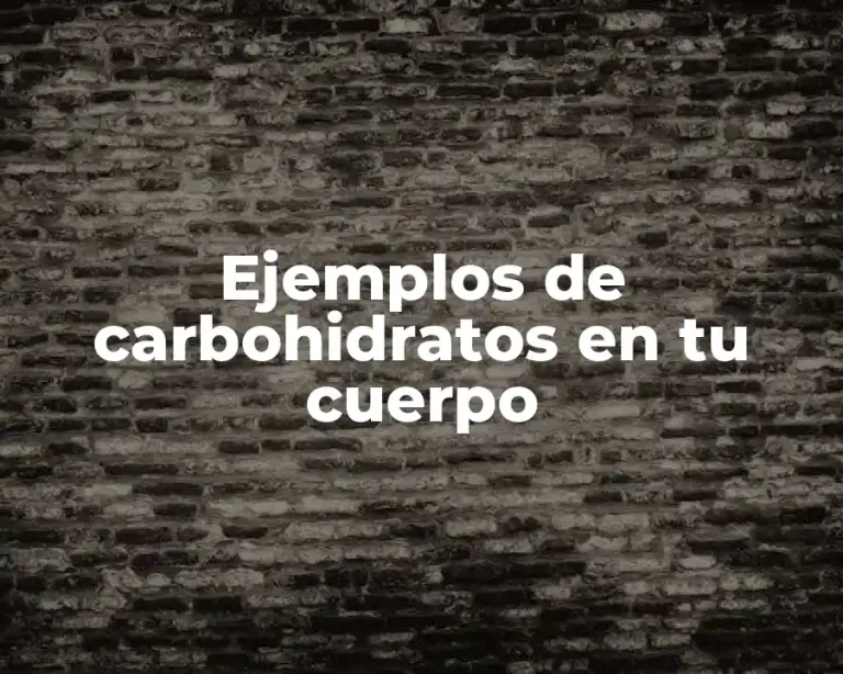 Ejemplos de carbohidratos en tu cuerpo