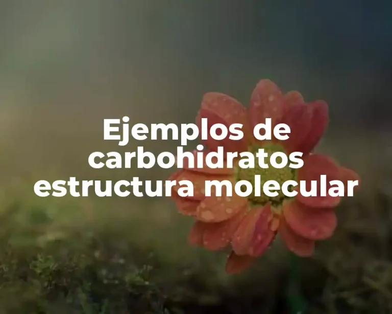 Ejemplos de carbohidratos estructura molecular