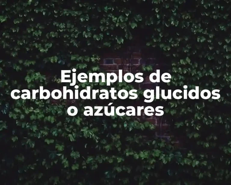 Ejemplos de carbohidratos glucidos o azúcares