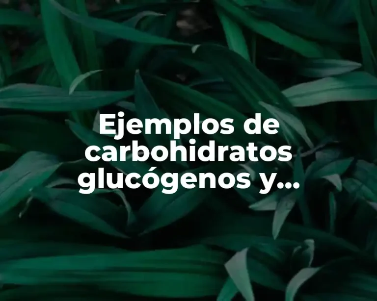 Ejemplos de carbohidratos glucógenos y Significado