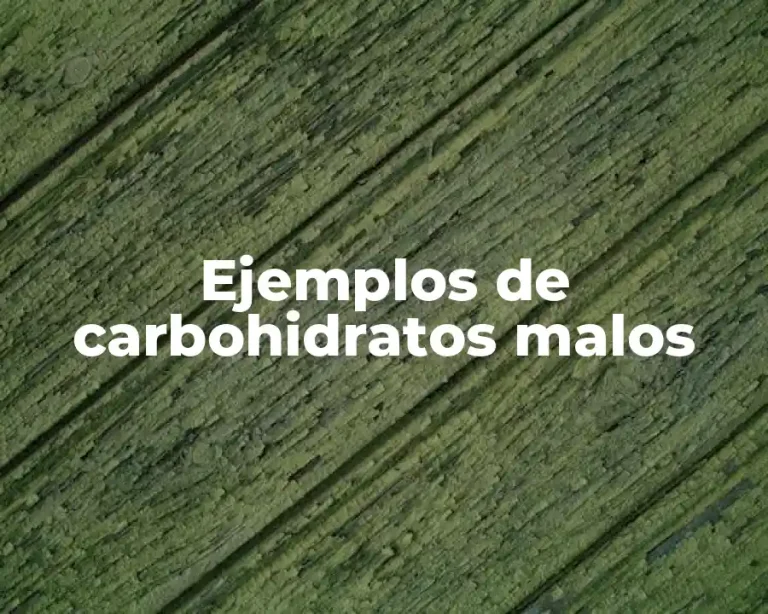 Ejemplos de carbohidratos malos