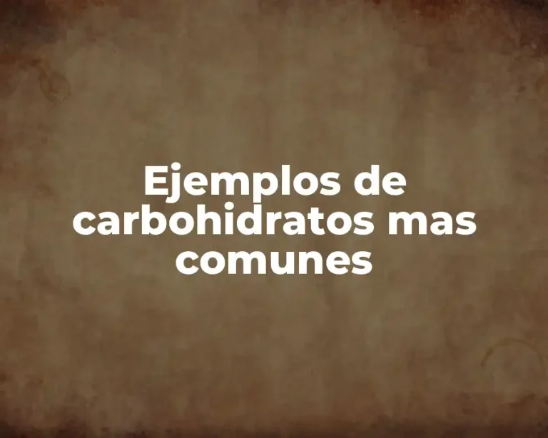 Ejemplos de carbohidratos mas comunes