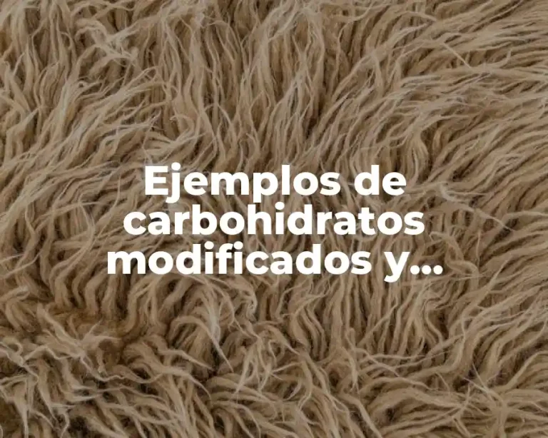 Ejemplos de carbohidratos modificados y Significado