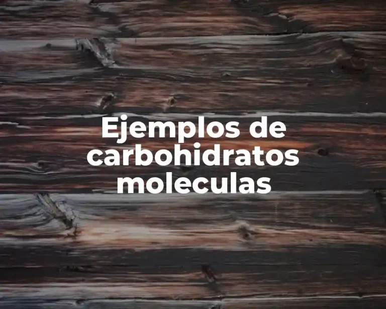 Ejemplos de carbohidratos moleculas
