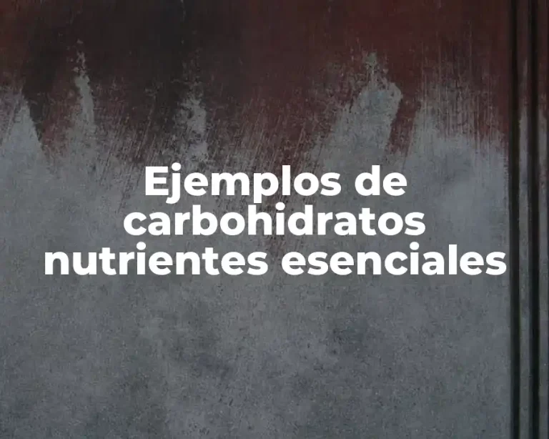 Ejemplos de carbohidratos nutrientes esenciales