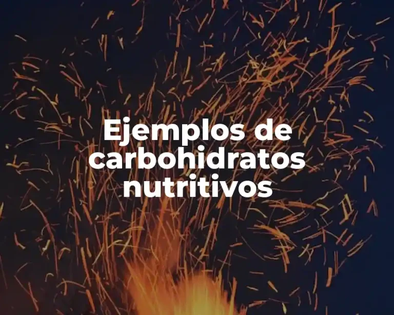 Ejemplos de carbohidratos nutritivos