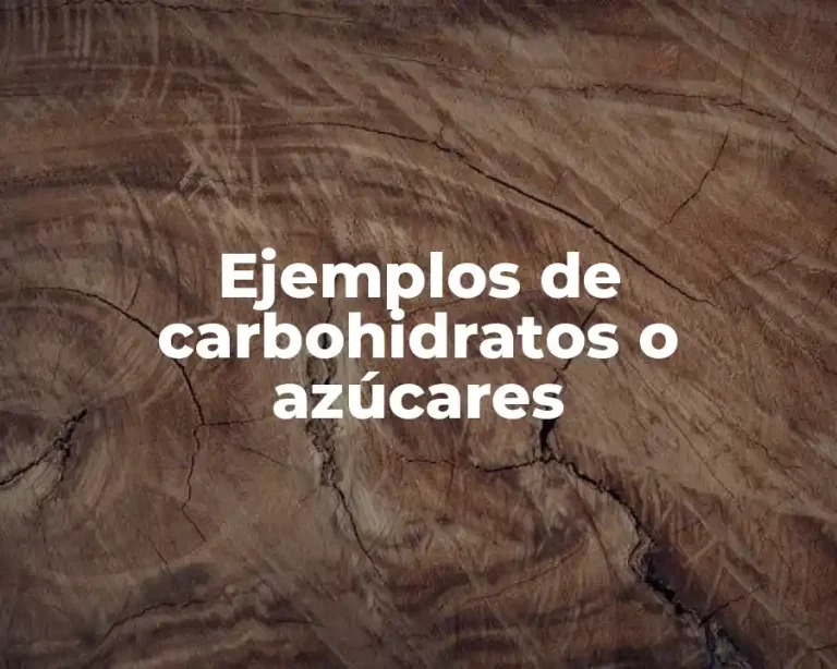 Ejemplos de carbohidratos o azúcares
