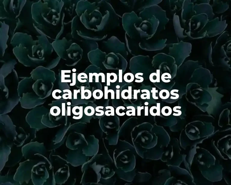 Ejemplos de carbohidratos oligosacaridos