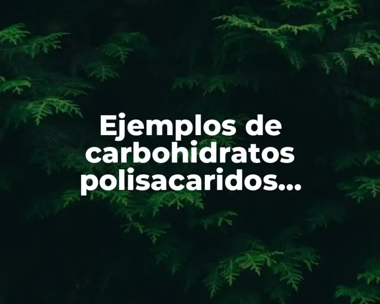 Ejemplos de carbohidratos polisacaridos estructurales