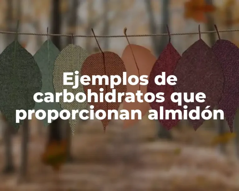 Ejemplos de carbohidratos que proporcionan almidón