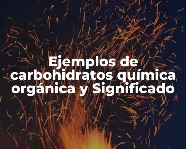 Ejemplos de carbohidratos química orgánica y Significado