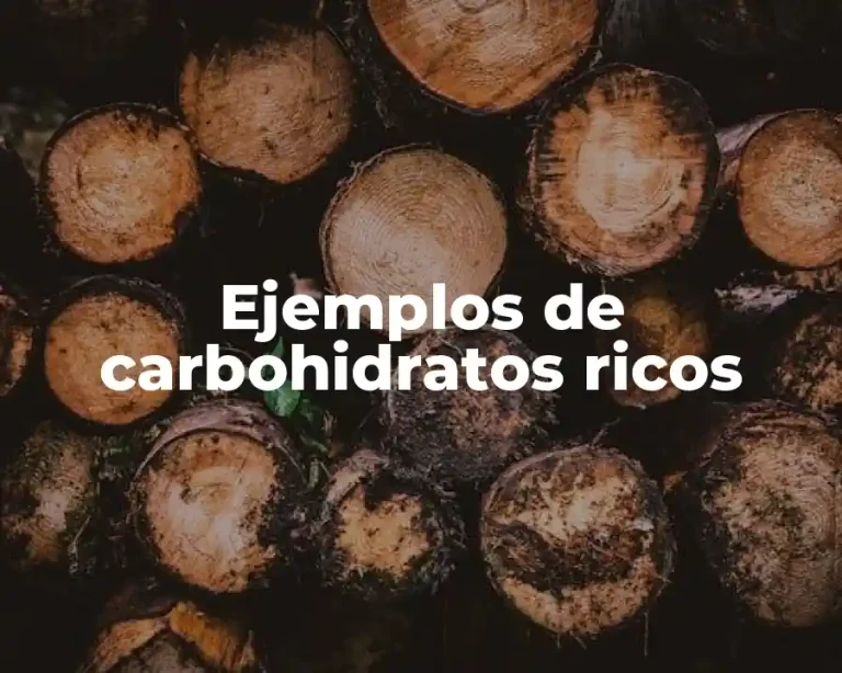 Ejemplos de carbohidratos ricos