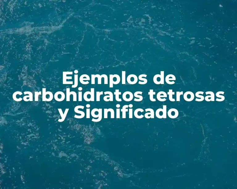Ejemplos de carbohidratos tetrosas y Significado