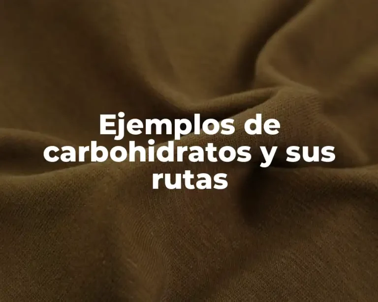 Ejemplos de carbohidratos y sus rutas