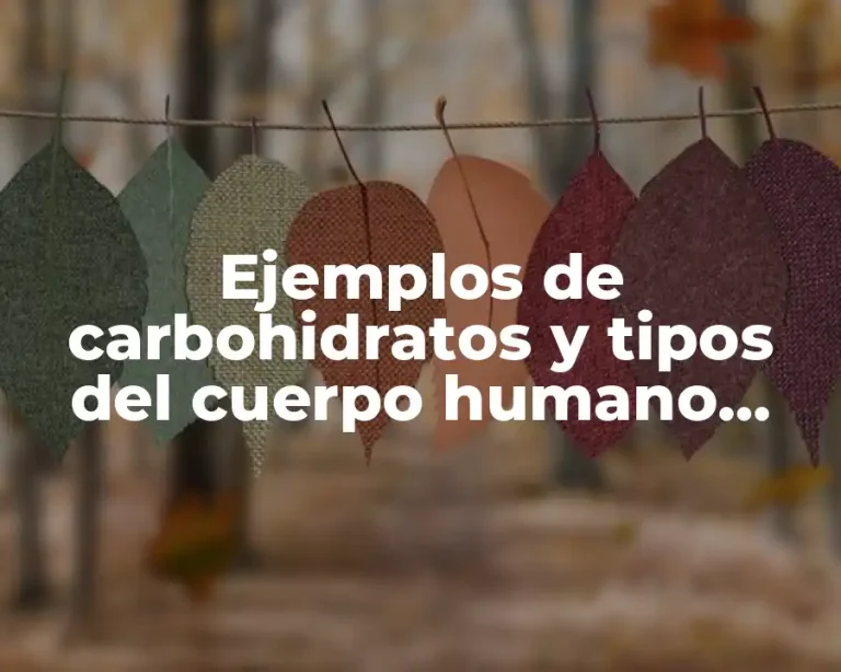 Ejemplos de carbohidratos y tipos del cuerpo humano química