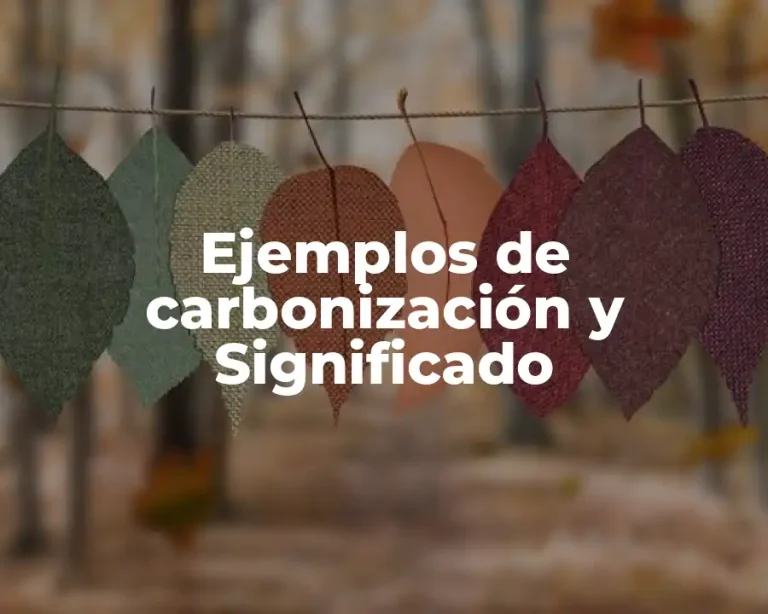 Ejemplos de carbonización y Significado