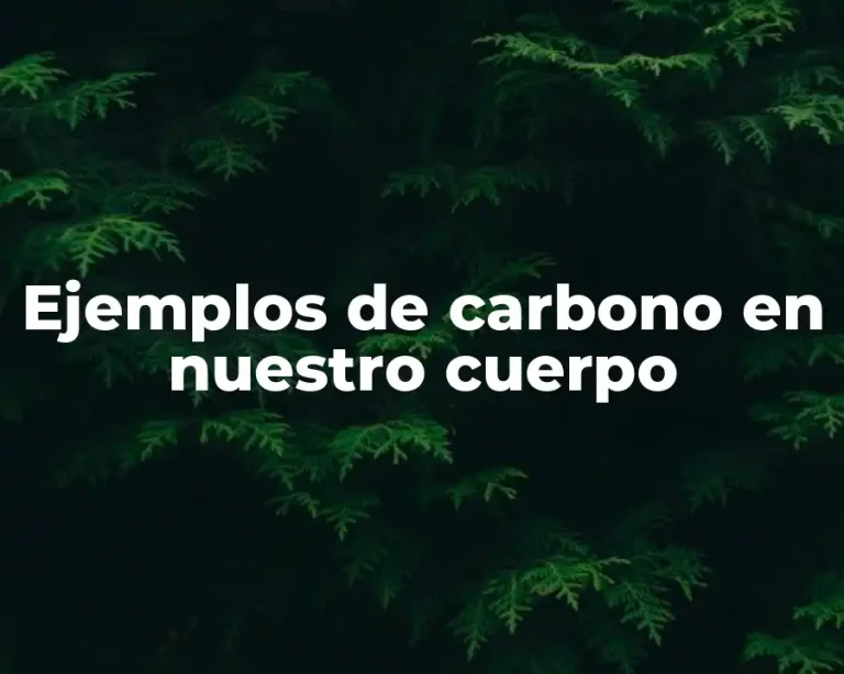 Ejemplos de carbono en nuestro cuerpo