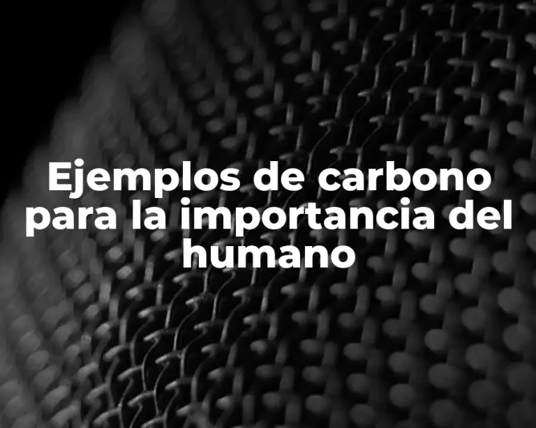 Ejemplos de carbono para la importancia del humano