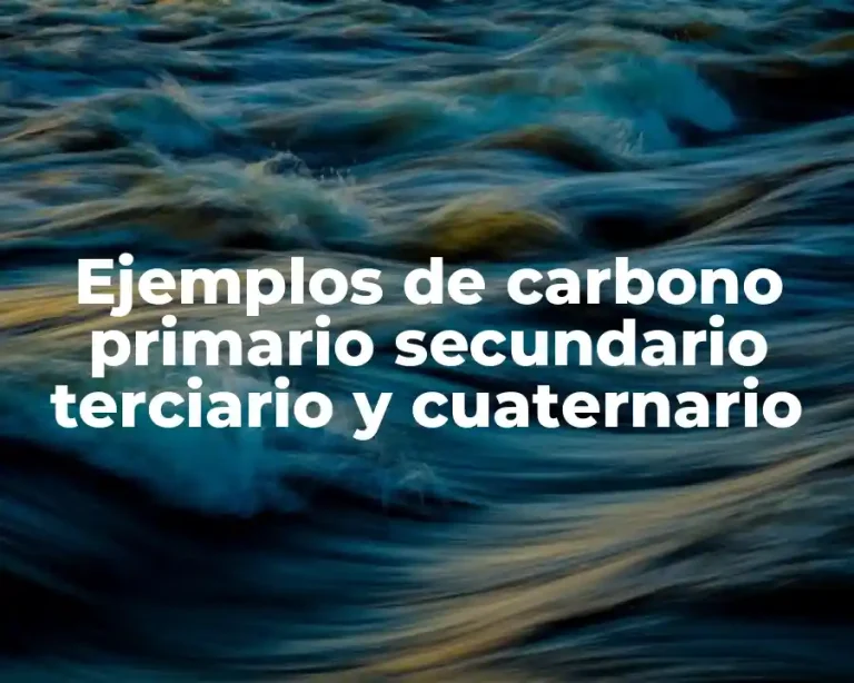 Ejemplos de carbono primario secundario terciario y cuaternario