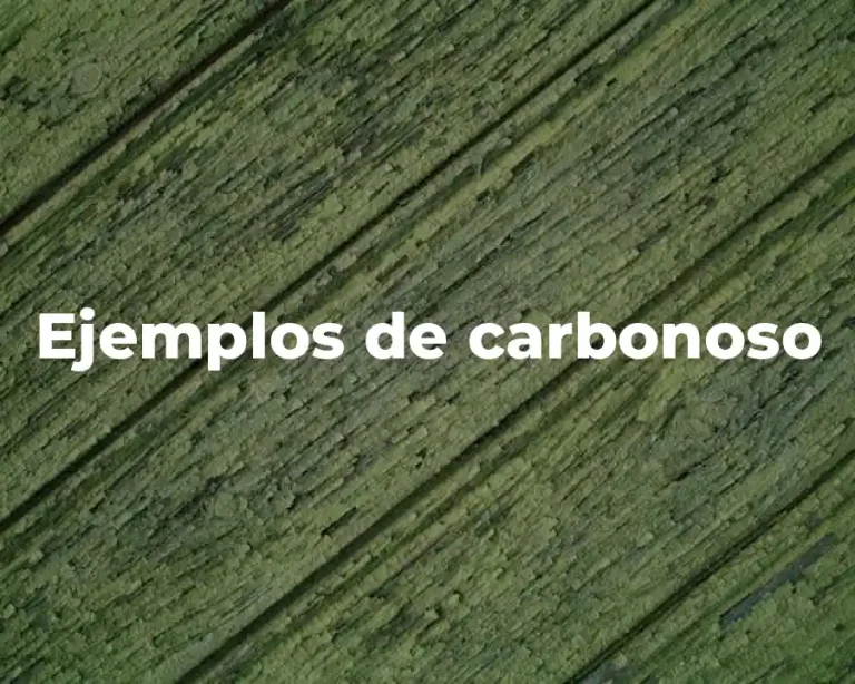 Ejemplos de carbonoso